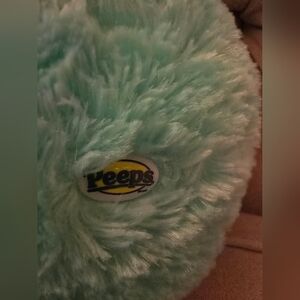 Aqua Green Peeps Plushy
